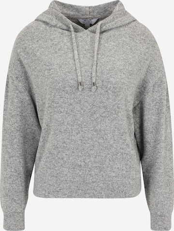 Pull-over Dorothy Perkins Petite en gris : devant