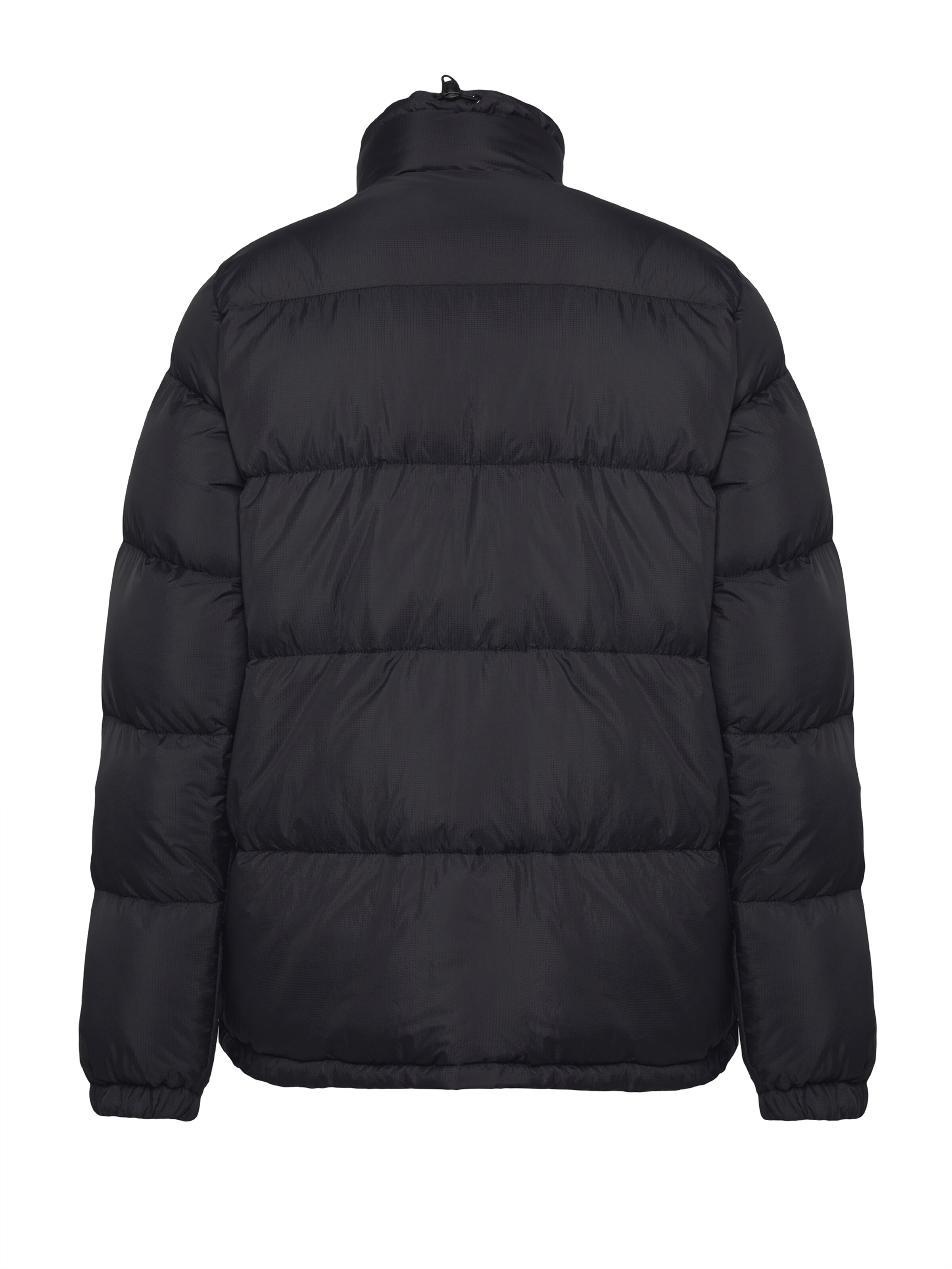 DICKIES Winter jacket 'WALDENBURG' in Black