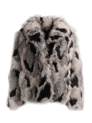 Passioni Winter Jacket in Grey