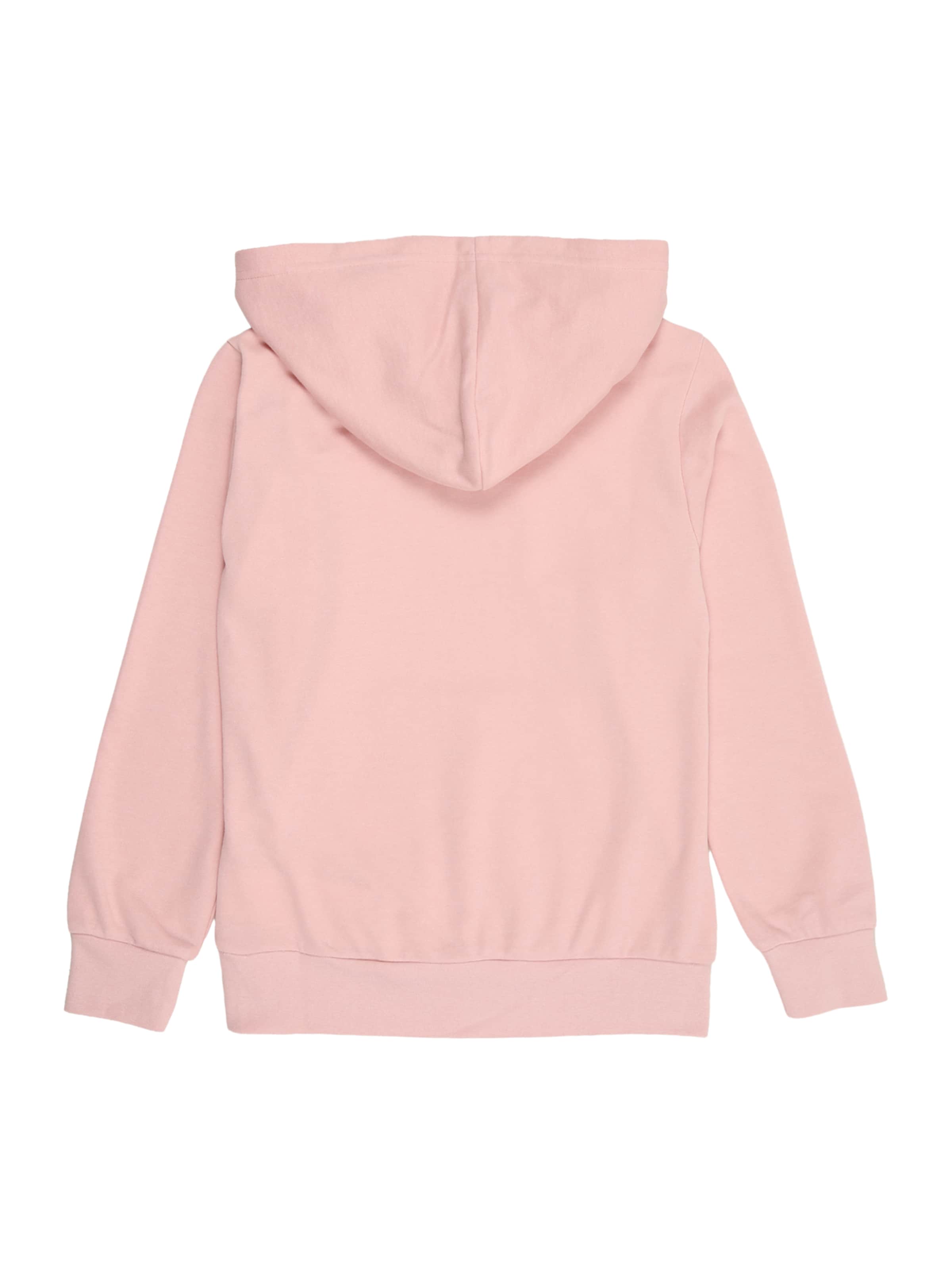Champion Authentic Athletic Apparel Sweatshirt in Roze
