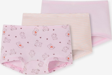 SCHIESSER Panty ' 95/5 Organic Cotton ' in Pink: predná strana