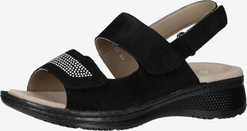 ARA Sandals in Black: front