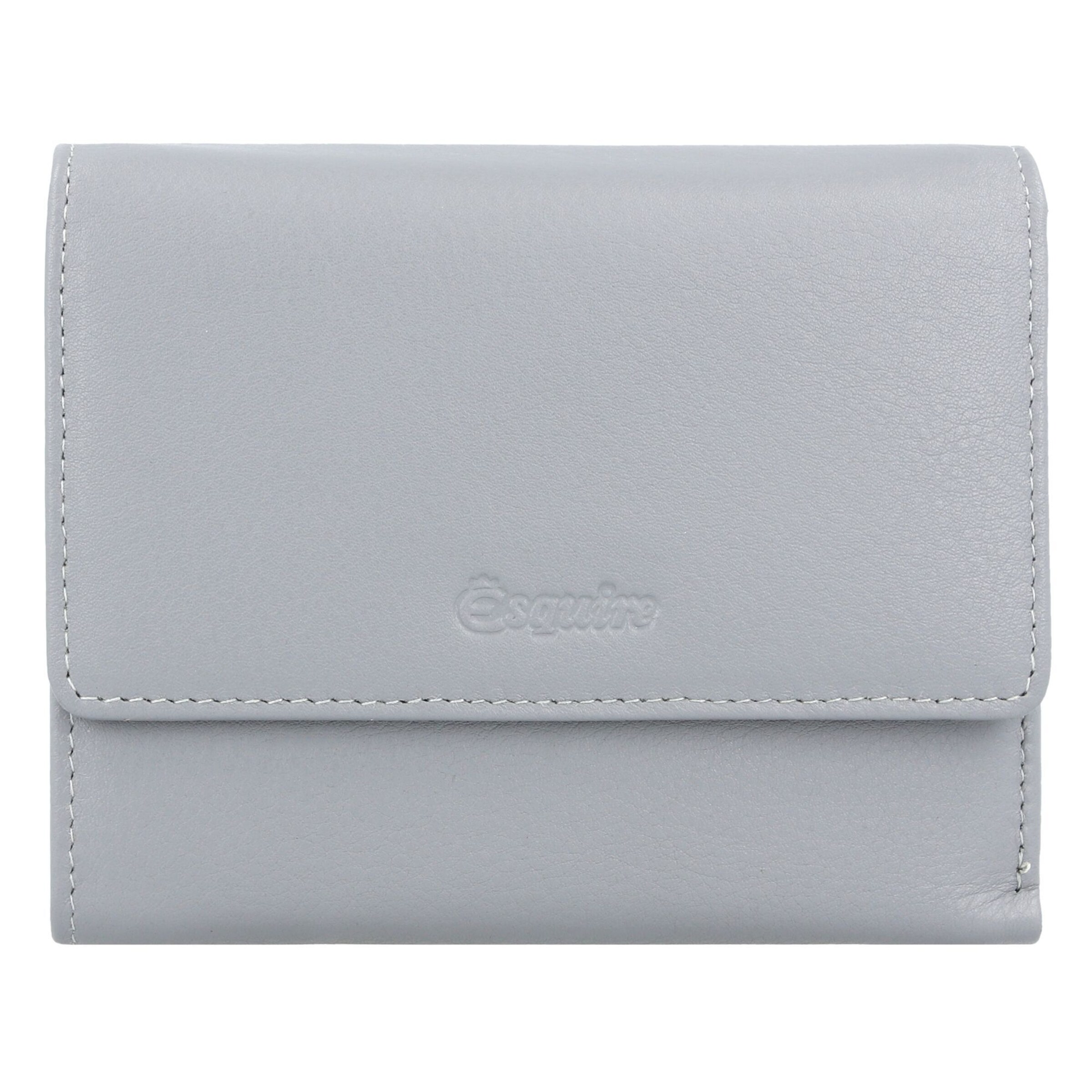 Esquire Wallet 'Viktoria' in Grey: front