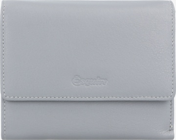Esquire Wallet 'Viktoria' in Grey: front