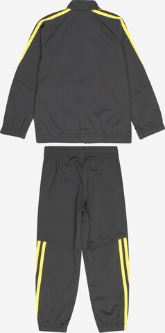 ADIDAS SPORTSWEAR Treenipuku värissä harmaa