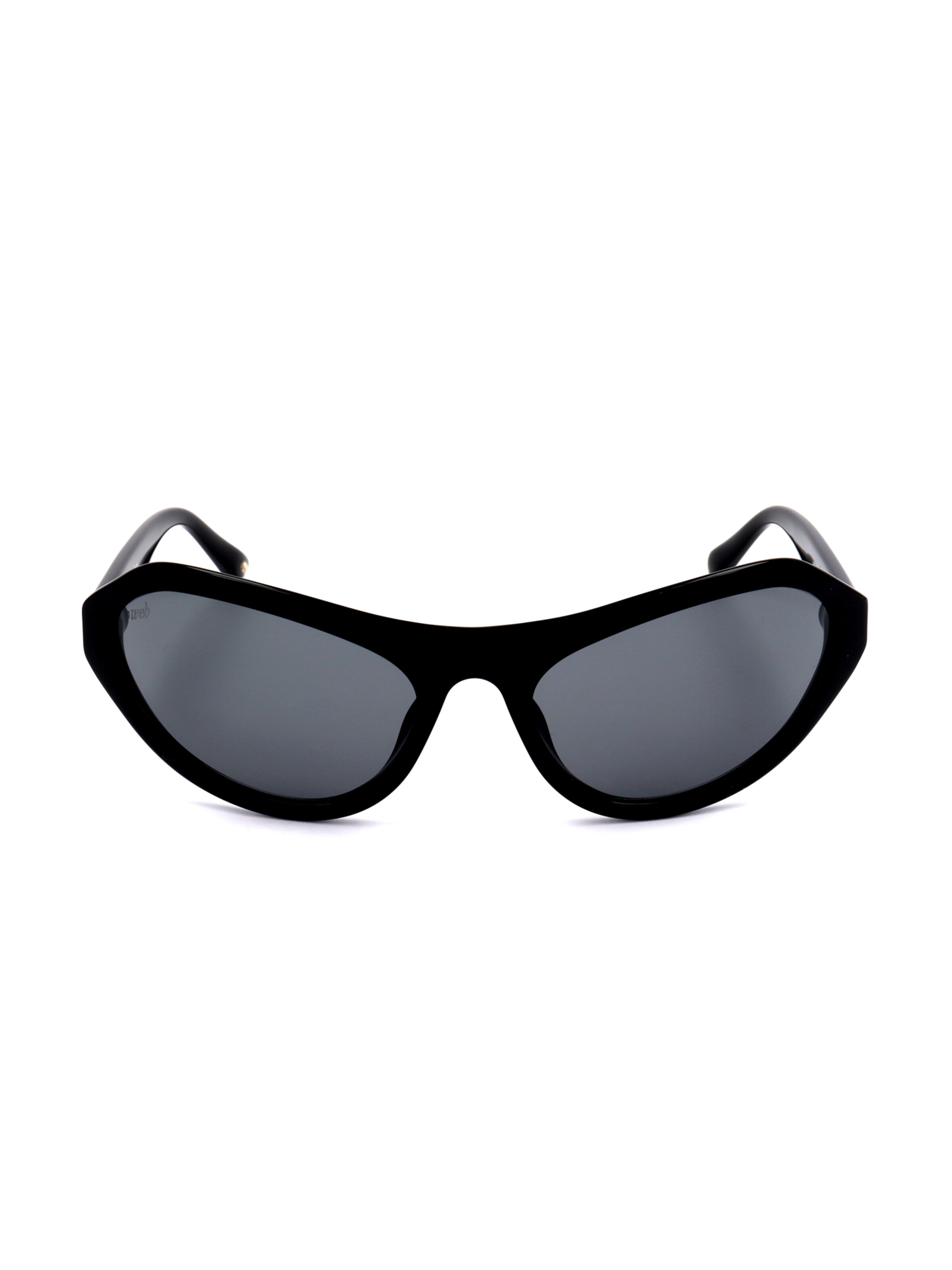 Occhiali da sole 'WE0288' di Web Eyewear in nero: frontale
