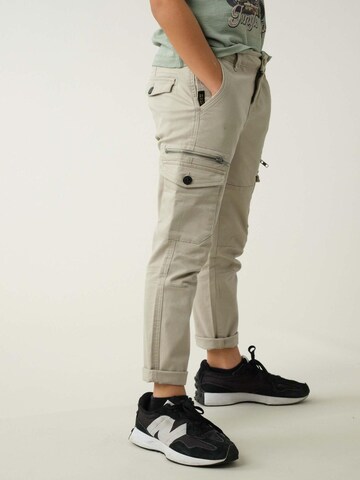 Coupe slim Pantalon 'Danakil' Deeluxe en gris