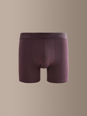 Boxeri de la Next pe albastru