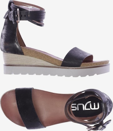 MJUS Sandals & High-Heeled Sandals in 35 in Black: front