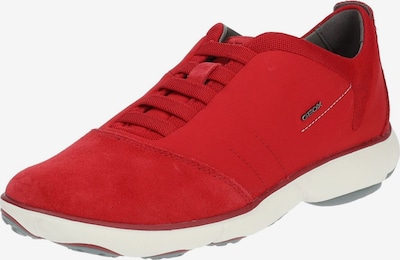 Sneaker bassa GEOX di colore rosso / nero, Visualizzazione prodotti
