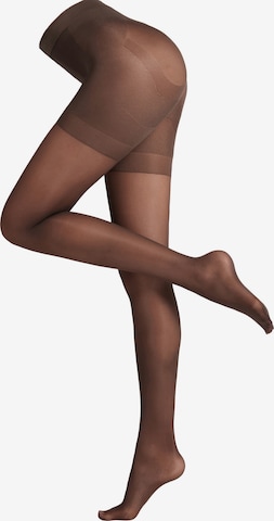 CALZEDONIA Tights in Brown: front