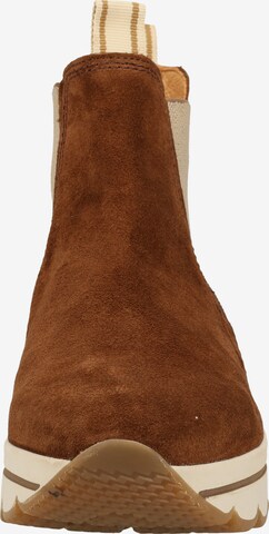 GABOR Chelsea boots in Bruin