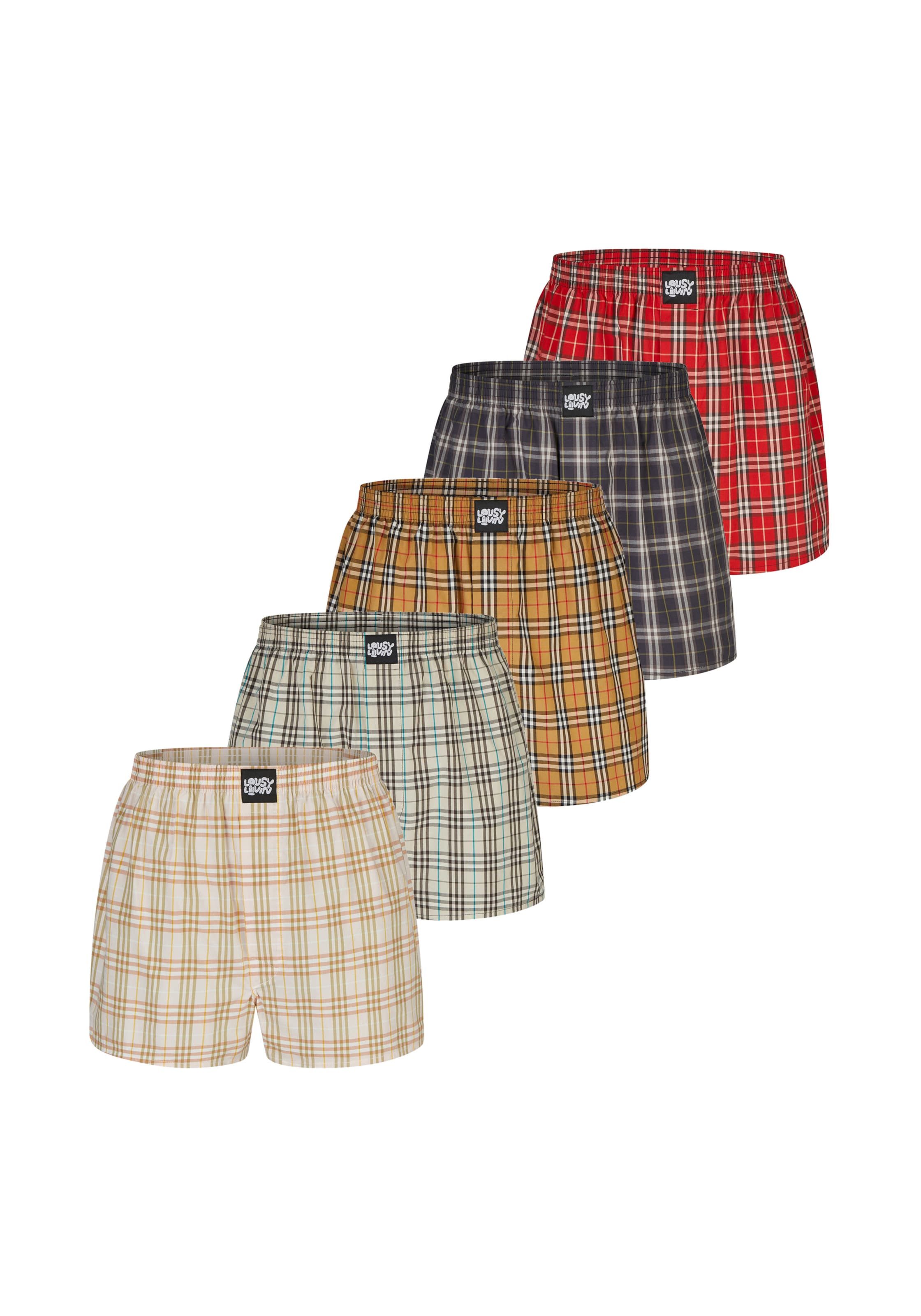 Lousy Livin Boxer shorts 'Check' in Blue: front