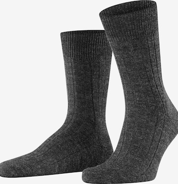 FALKE Socks 'Teppich im Schuh' in Grey: front