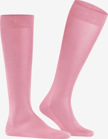FALKE Knee High Socks 'Tiago' in Pink: front