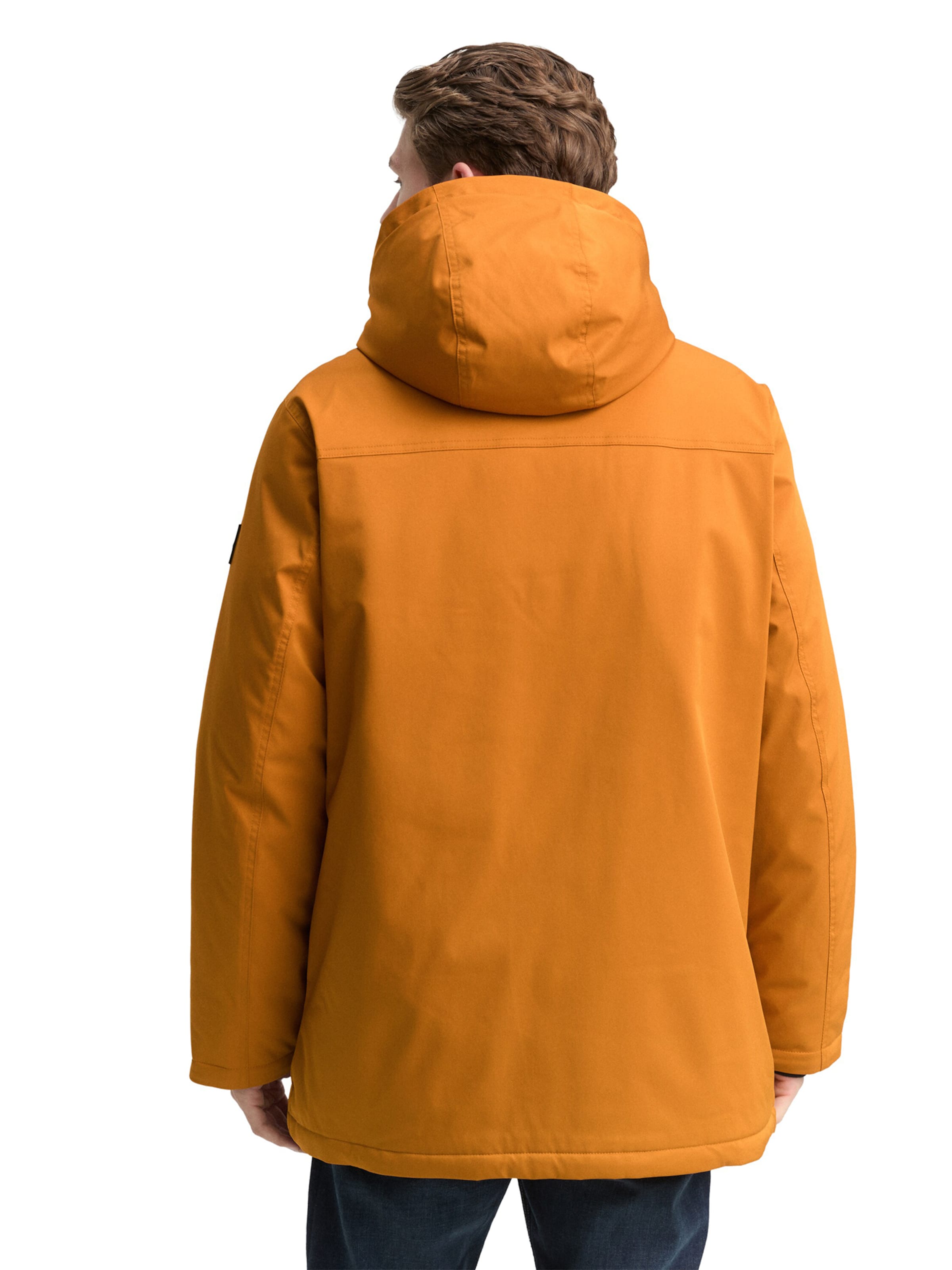 TOM TAILOR Zimska jakna | rjava barva