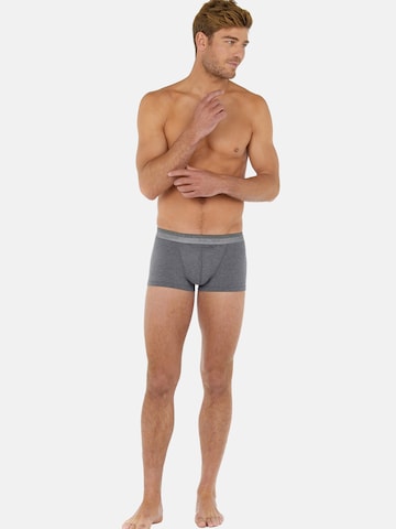 HOM Boxershorts ' Boxer Briefs HO1 ' in Grijs