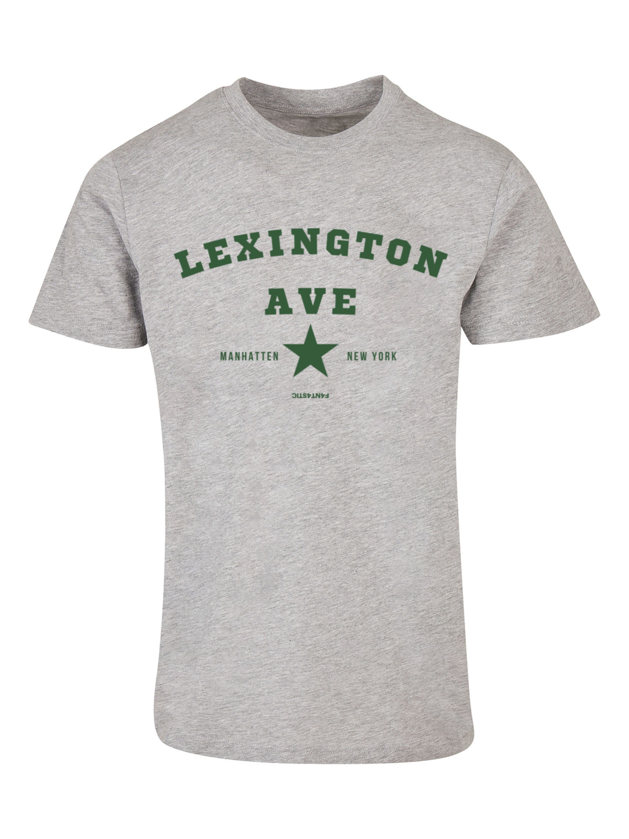 F4NT4STIC Shirt 'Lexington Ave' in Grey: front