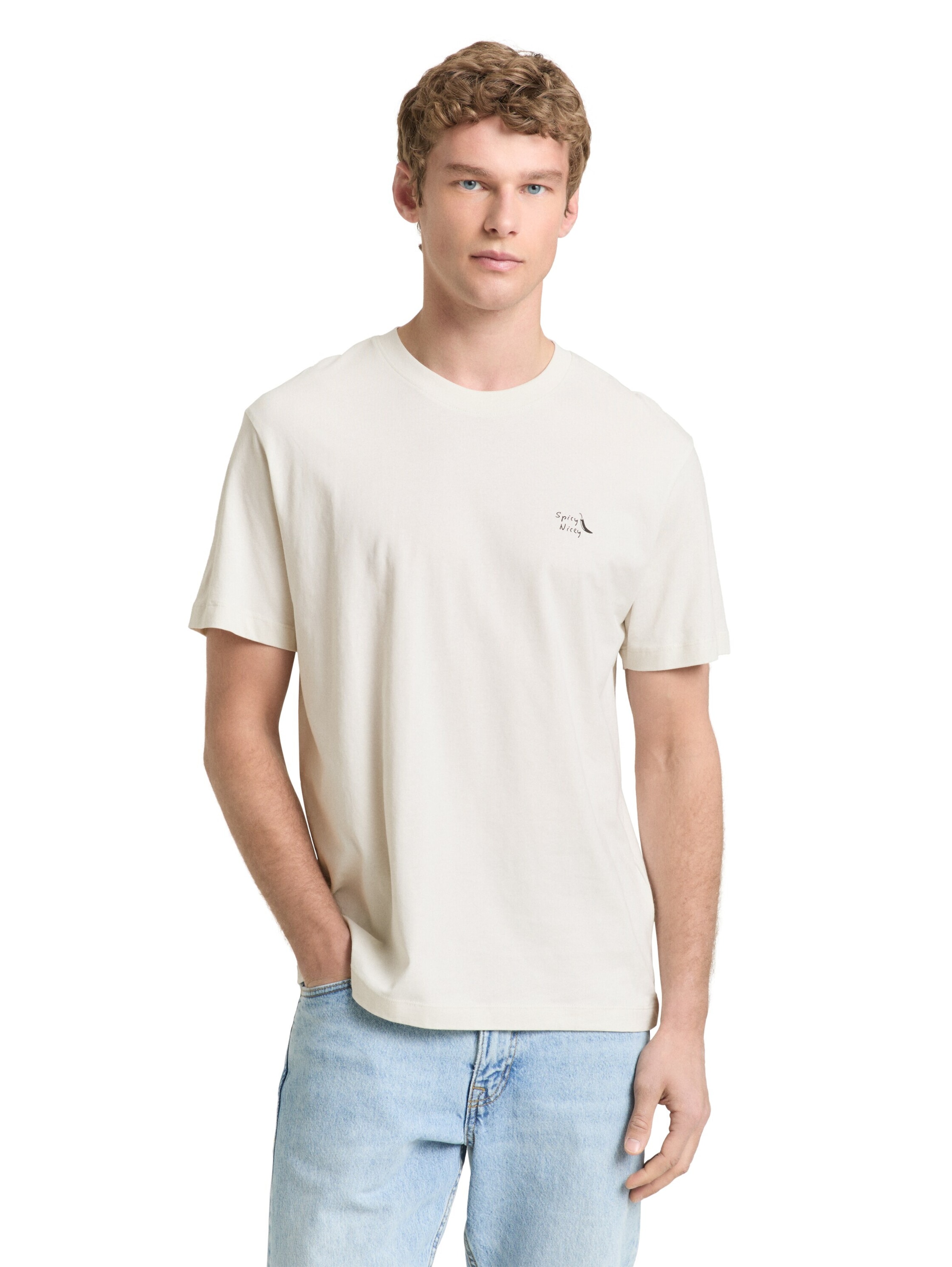 TOM TAILOR Shirt in White: front