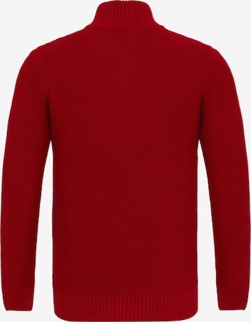 DENIM CULTURE Pullover 'DIOGO' i rød