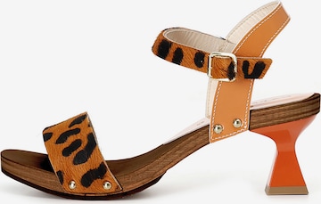 CAFè NOIR Pumps in Orange: front