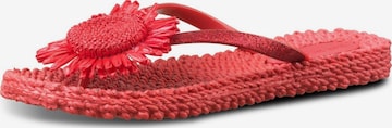 ILSE JACOBSEN Sandaal 'CHEERFUL16F' in Rood: voorkant