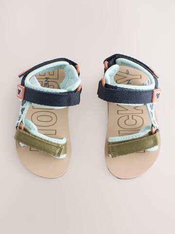 Chaussures ouvertes Next en bleu