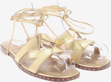 Maje Sandalen 40 in Braun: Vorderseite