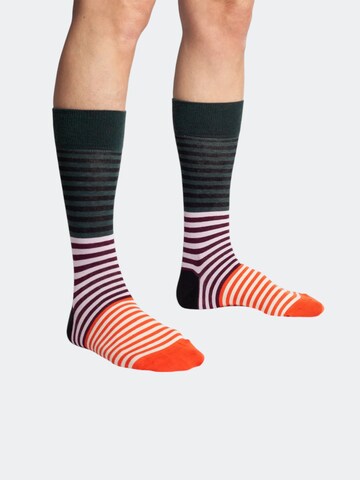 DillySocks Socken 'Breakfast Club' in Grün