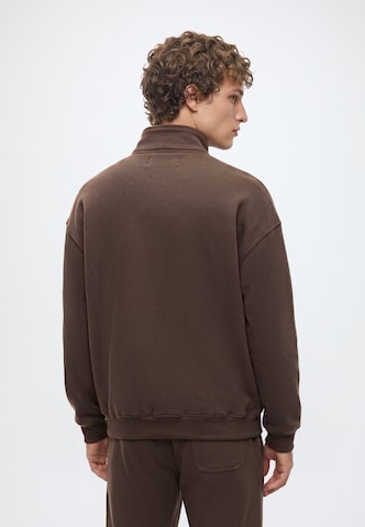 HOLLISTER Sweatshirt in Braun