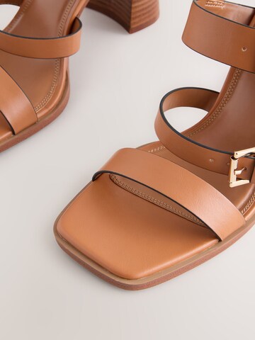 Next Sandalen met riem 'Forever Comfort®' in Bruin