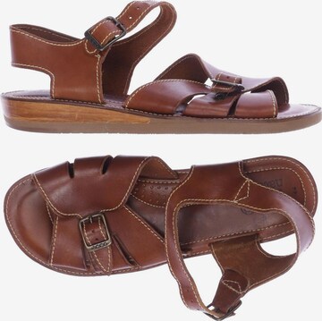 ECCO Sandals & Slippers in 44 in Brown: front