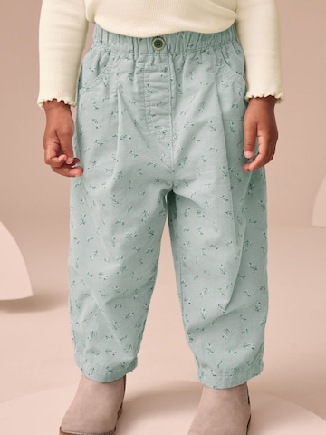 Next Regular Broek in Blauw