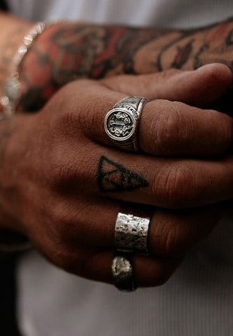 Bague 'Twin Tiger' Haze&Glory en argent