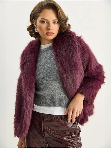 Bianco Lucci Tussenmantel in Lila