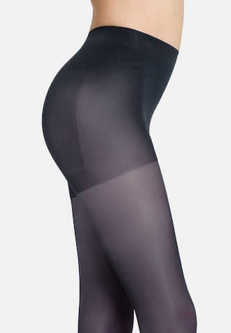 camano Tights in Blue