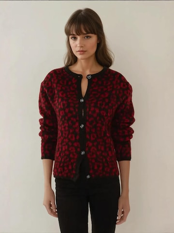 Hiccup Strickjacke in Rot: Vorderseite