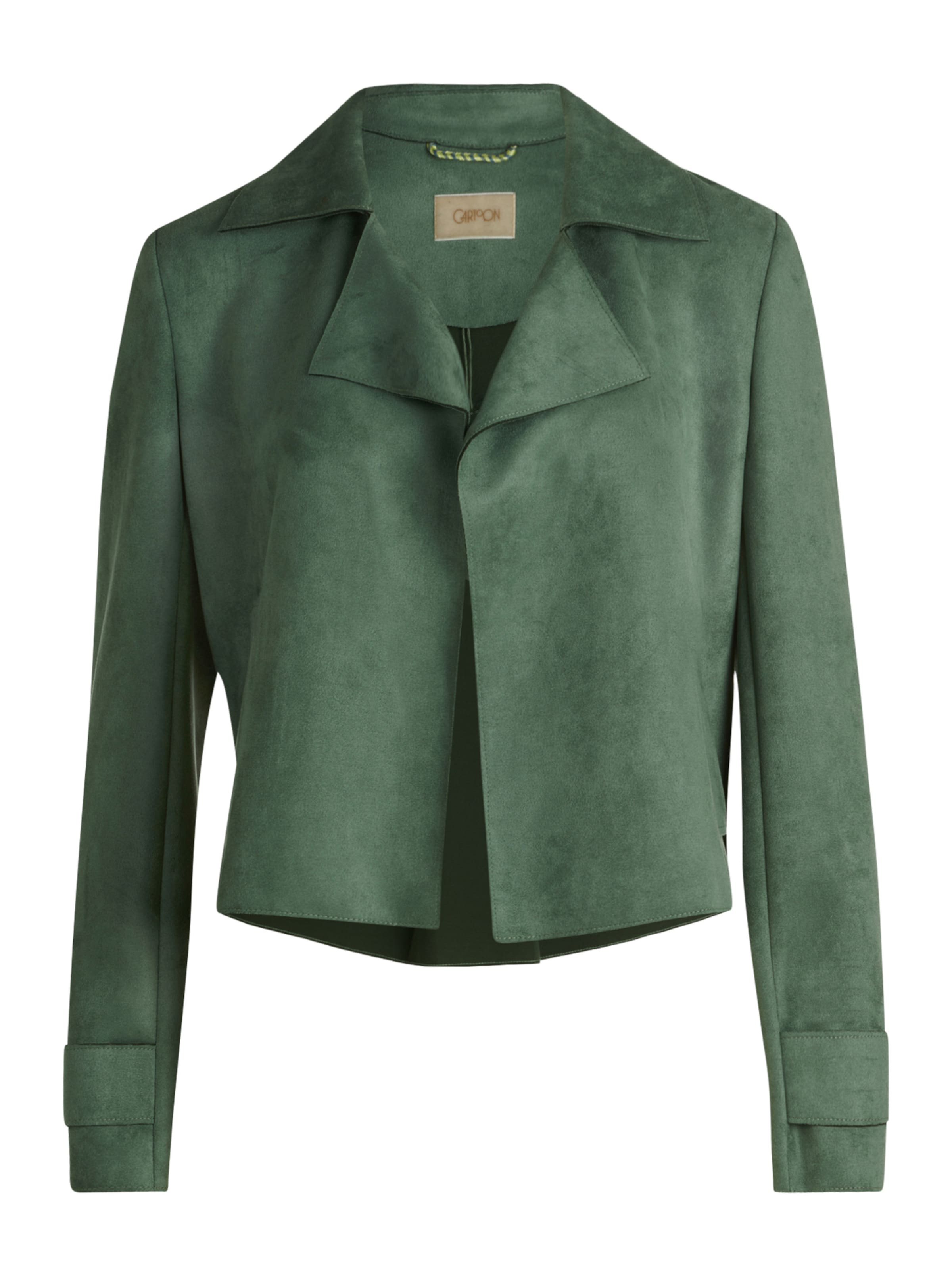 Cartoon Blazers in Groen: voorkant