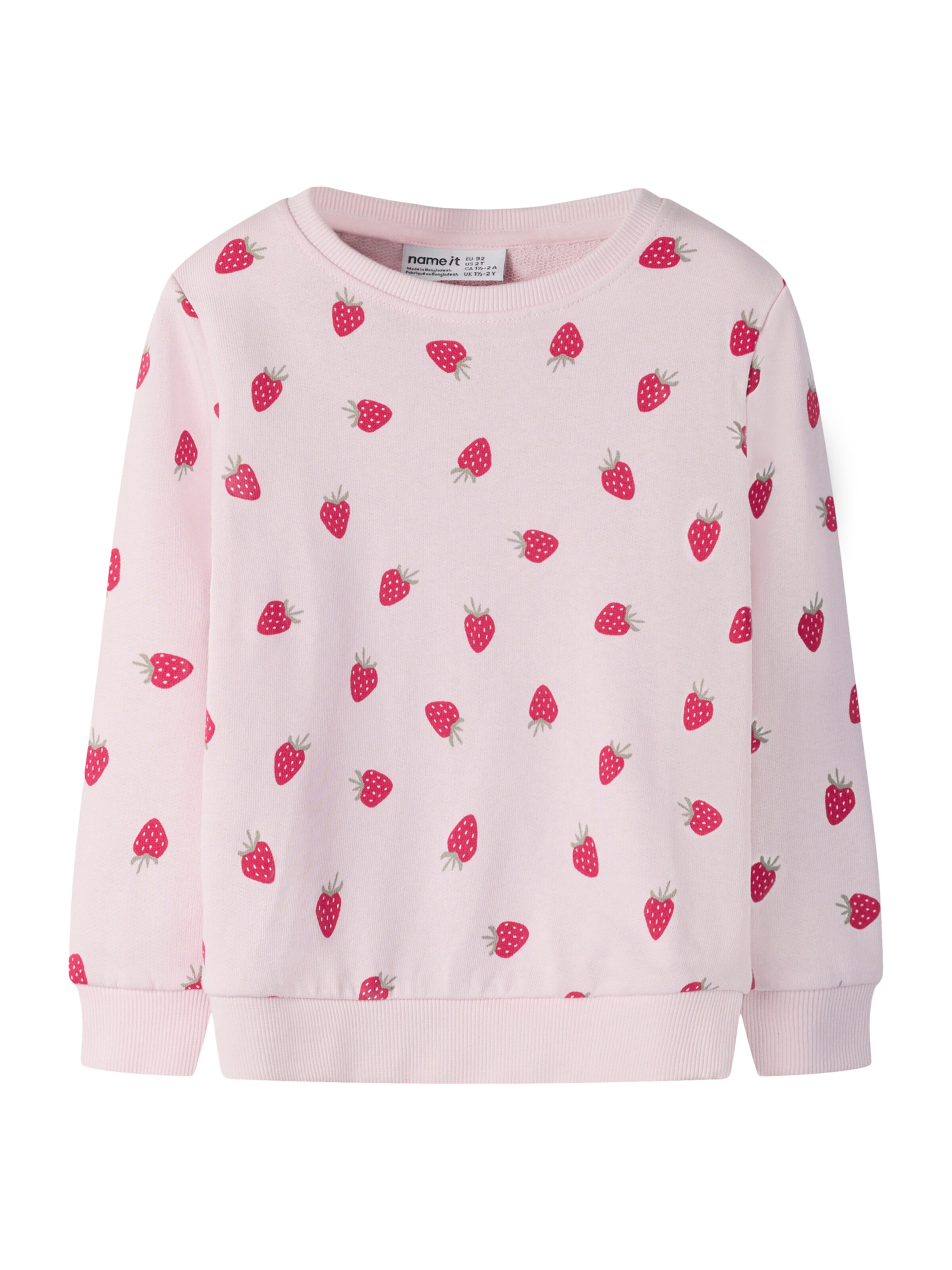 NAME IT Sweatshirt 'NMFVALBA' in Roze: voorkant