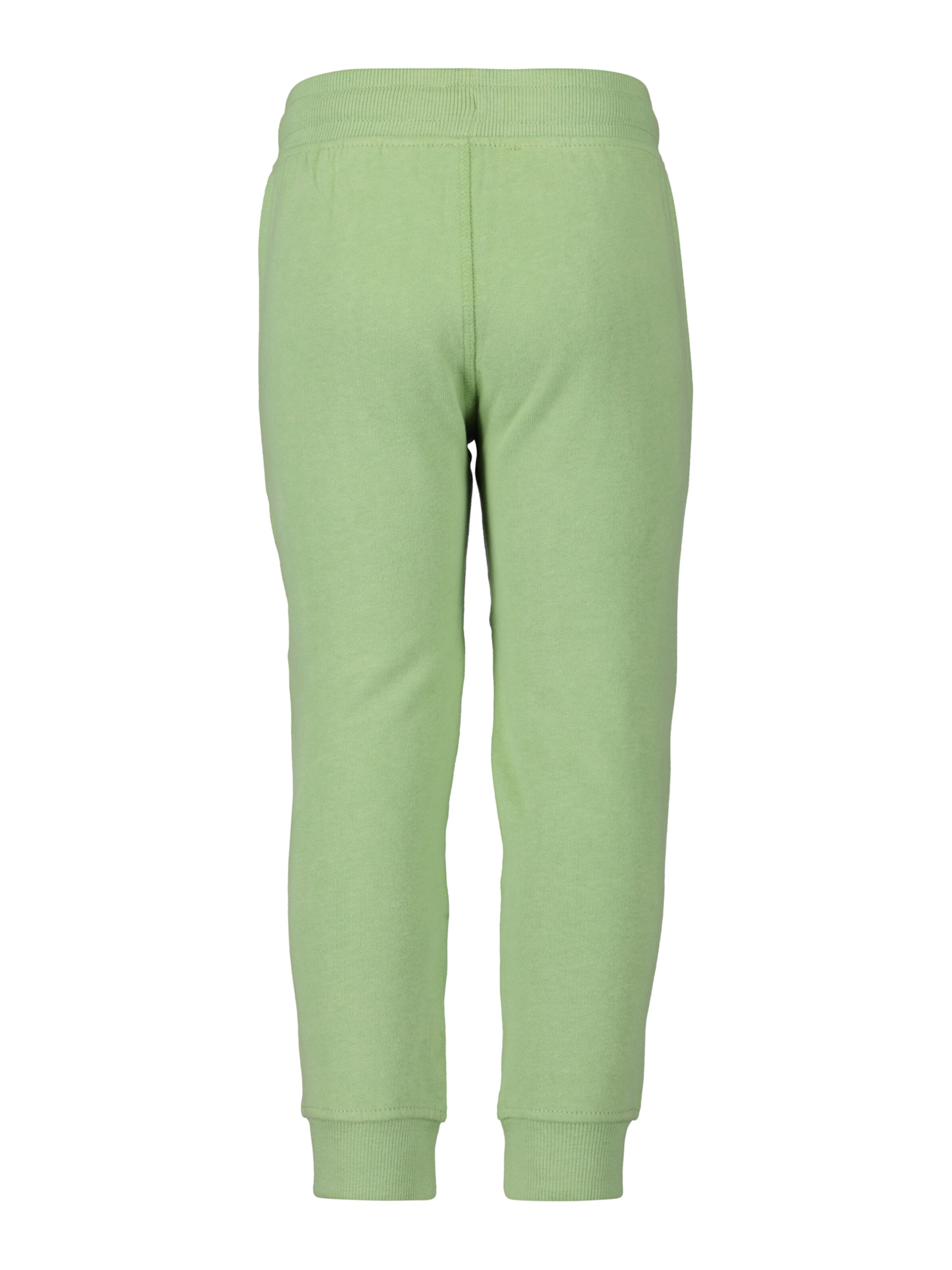 BLUE SEVEN Tapered Hose in Grün