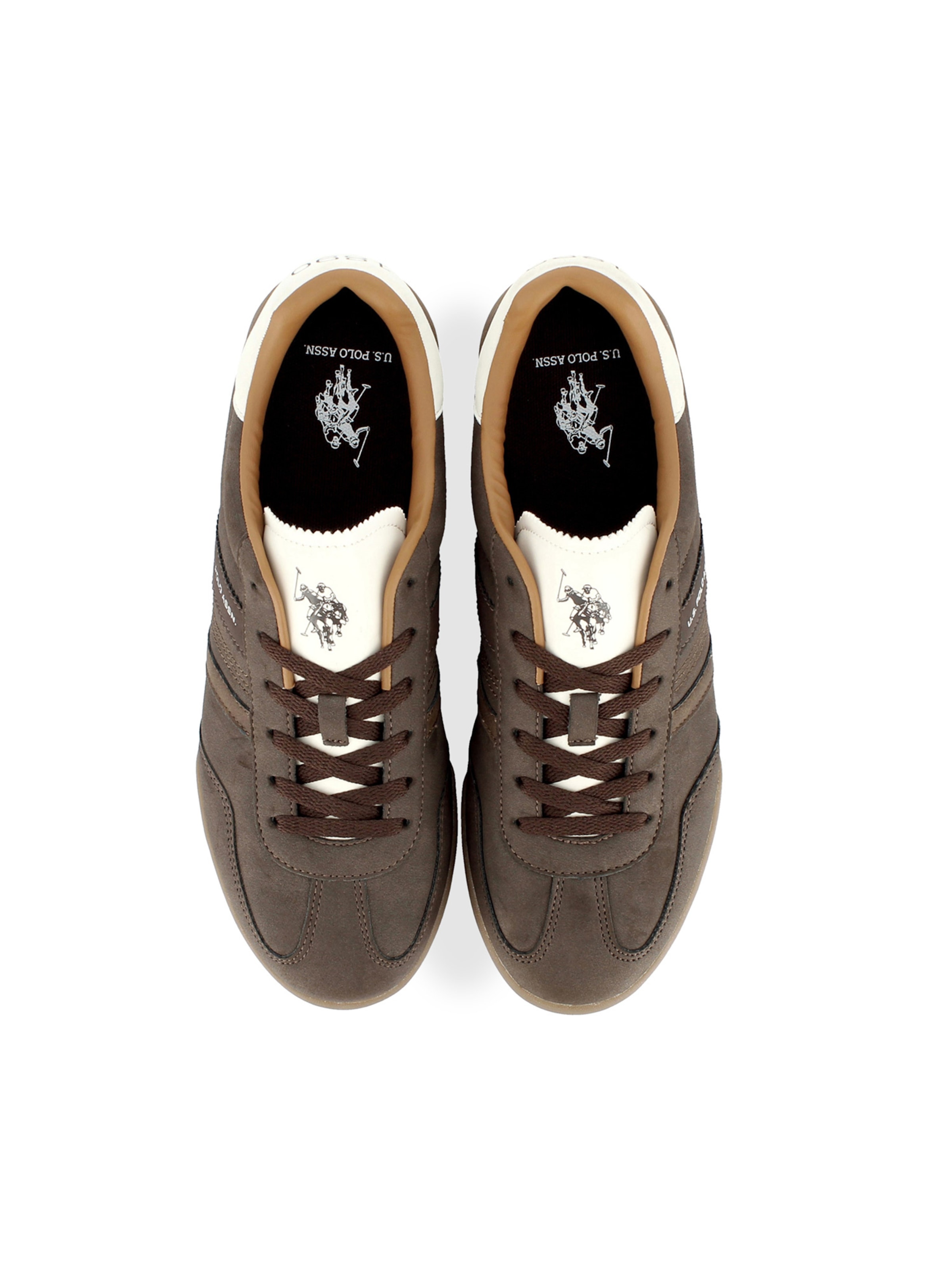 Baskets basses 'Jazz' US POLO ASSN. en marron