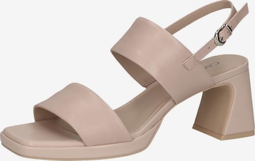 CAPRICE Sandals in Pink: front