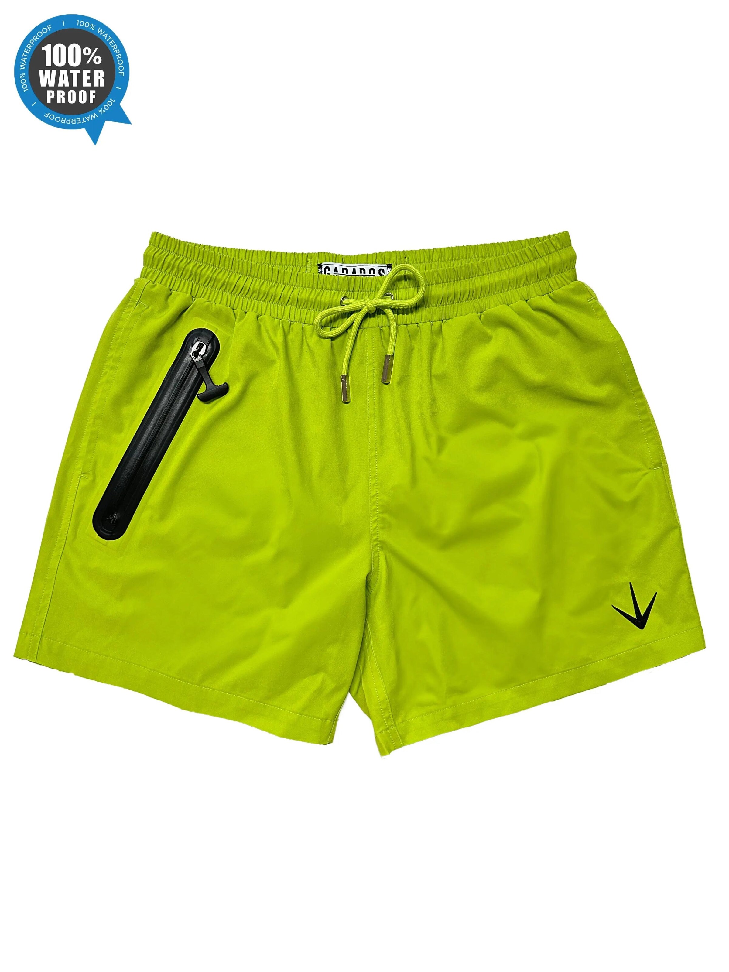 Garados Swim Board Shorts in Green: front