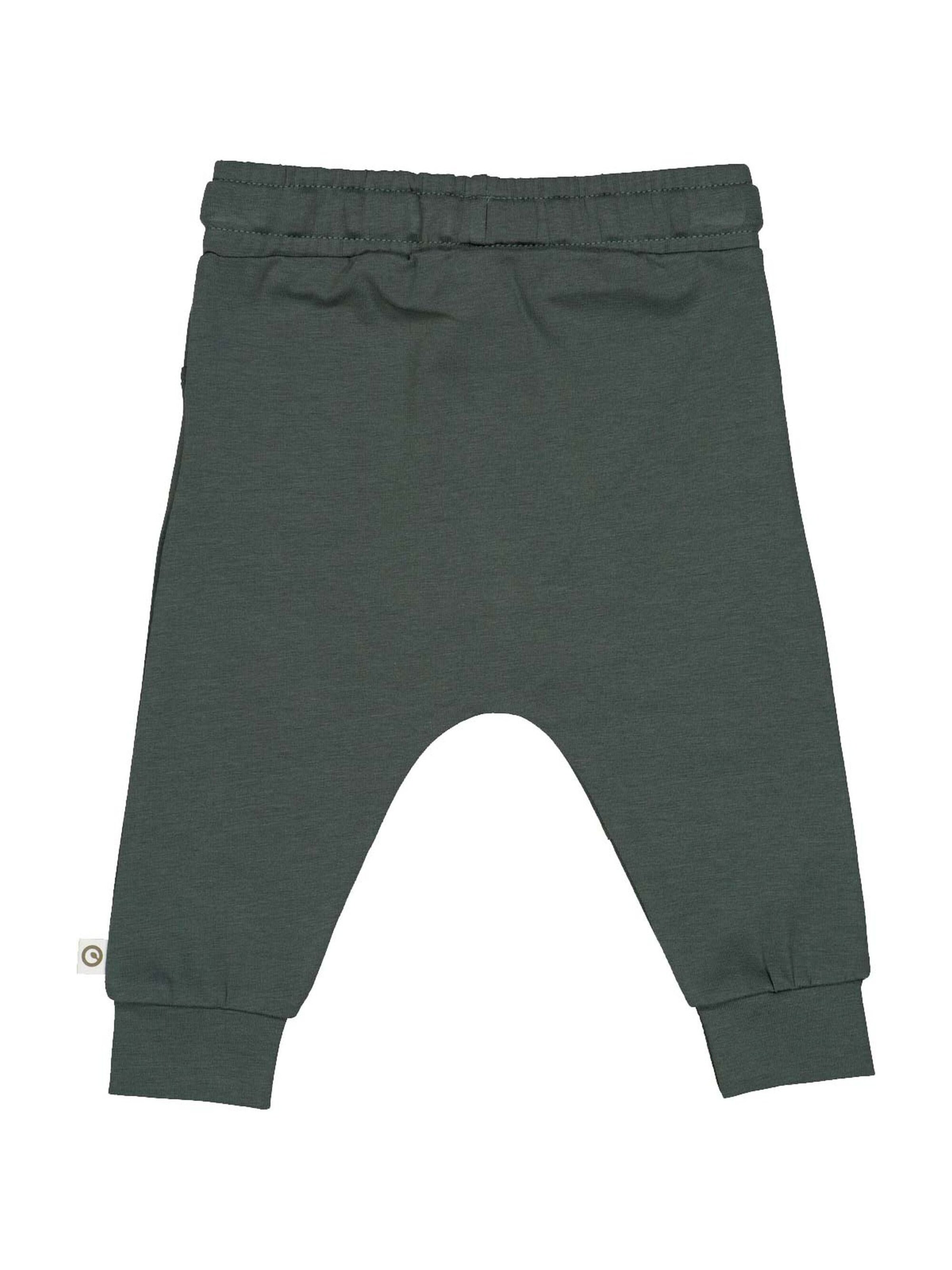 Müsli by GREEN COTTON Tapered Hose in Grün
