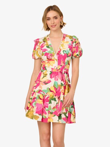 Adrianna Papell Kleid in Pink: Vorderseite