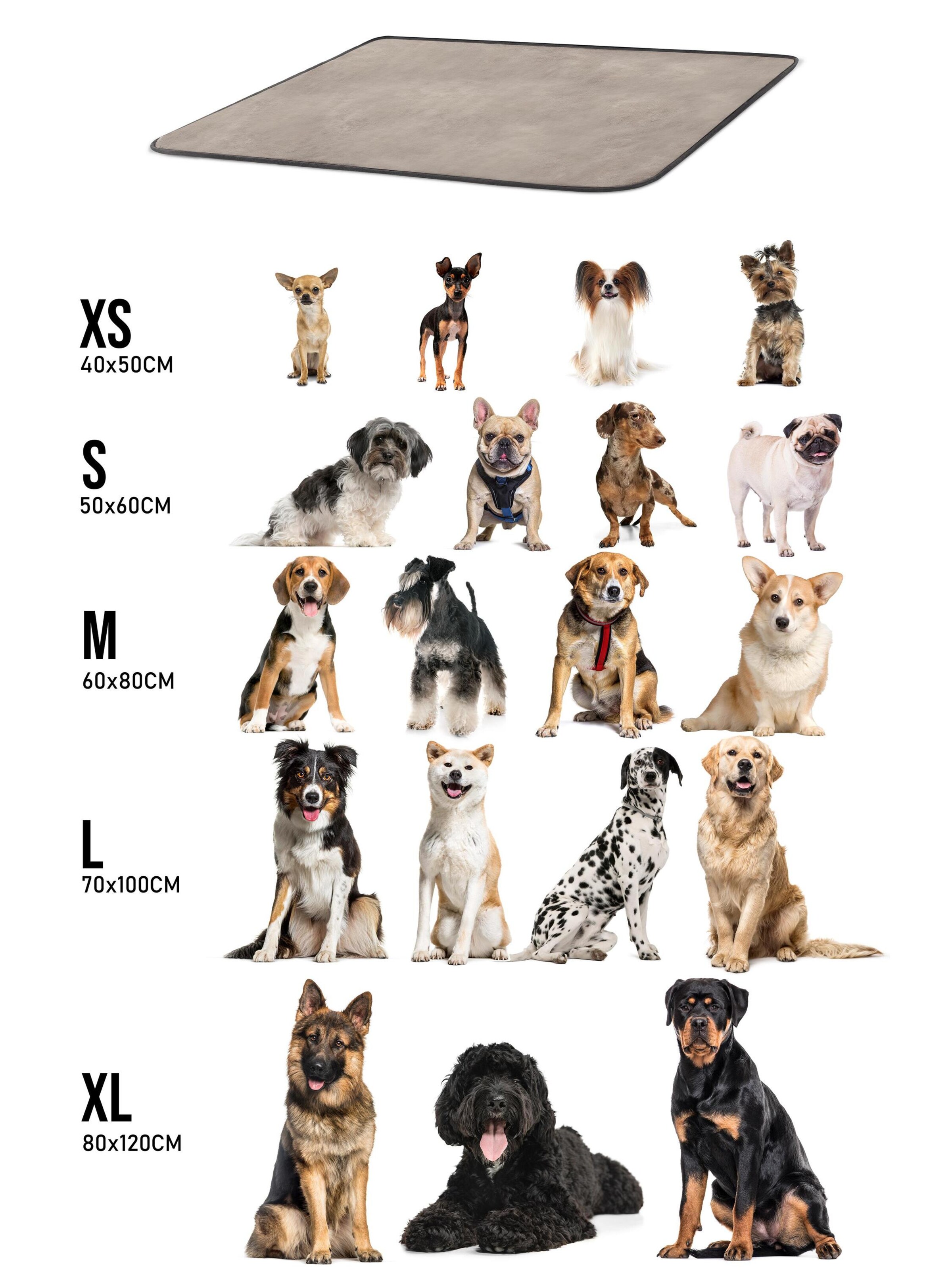 Aspero Hundedecke 'Lund' in Beige