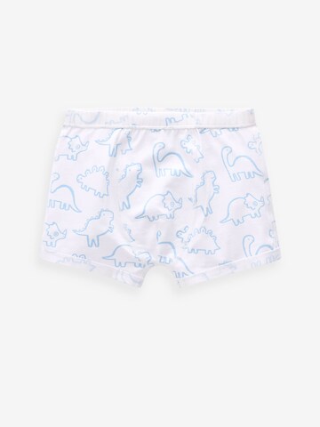 Next Underpants in White