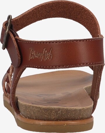 Blowfish Malibu Strap Sandals 'Marlah' in Brown