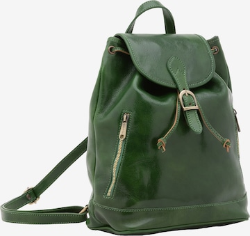 Viola Castellani Rucksack in Grün: Vorderseite