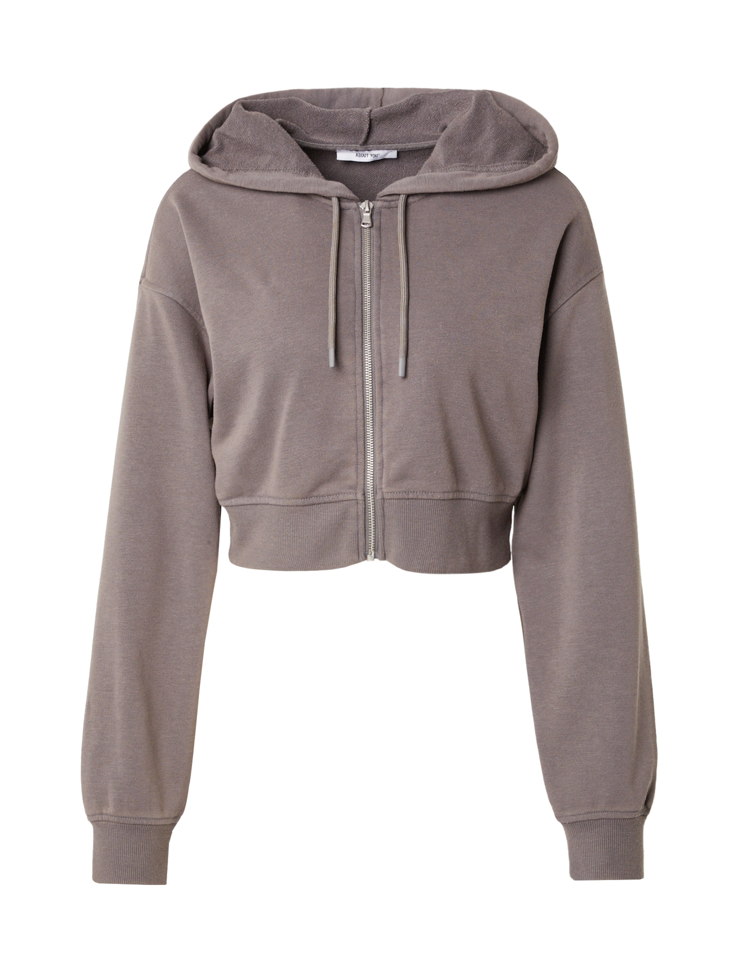 ABOUT YOU - Sudadera con cremallera 'Jolin' en gris: frente